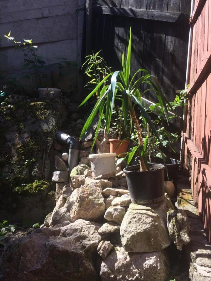 Casa Adrian Camere Centru Vechi Brasov Luaran gambar